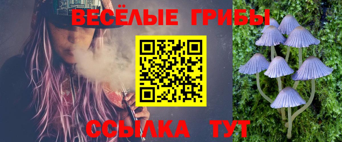как найти   Галлюциногенные грибы Psilocybine cubensis  Вход с VPN  Печора 