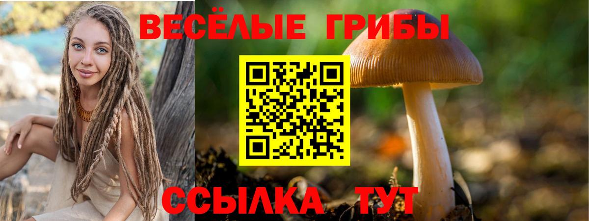 Галлюциногенные грибы ЛСД Печора